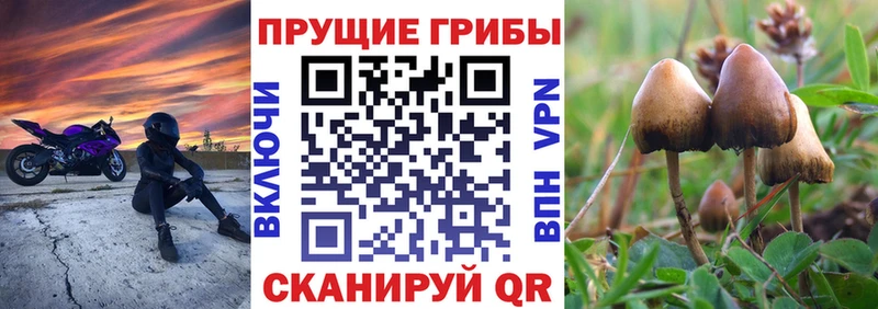 blacksprut tor  где можно купить наркотик  Трёхгорный  Псилоцибиновые грибы прущие грибы 